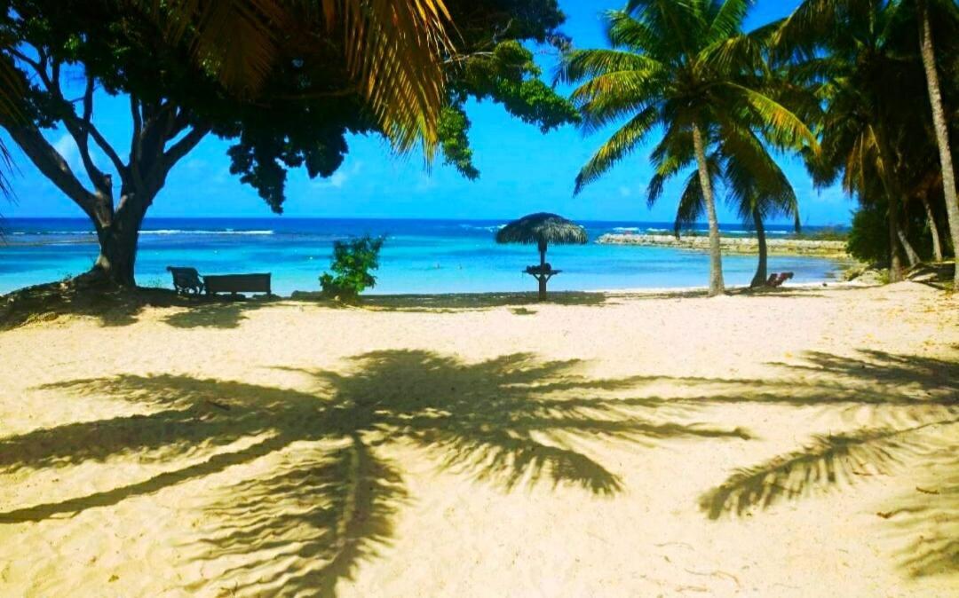 Le Ti'Paradise Anse Des Rochers Belle-Allee Екстер'єр фото