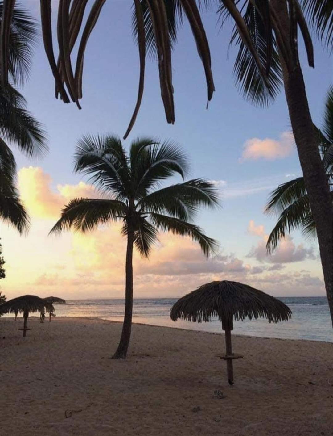Le Ti'Paradise Anse Des Rochers Belle-Allee Екстер'єр фото
